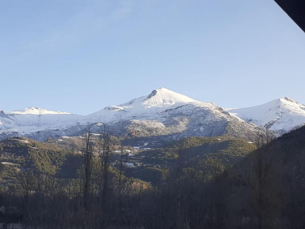Gallinero nevado